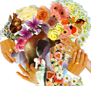 collage pack of flowers, hands and doves