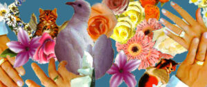 collage pack selection of flowers, hands and doves